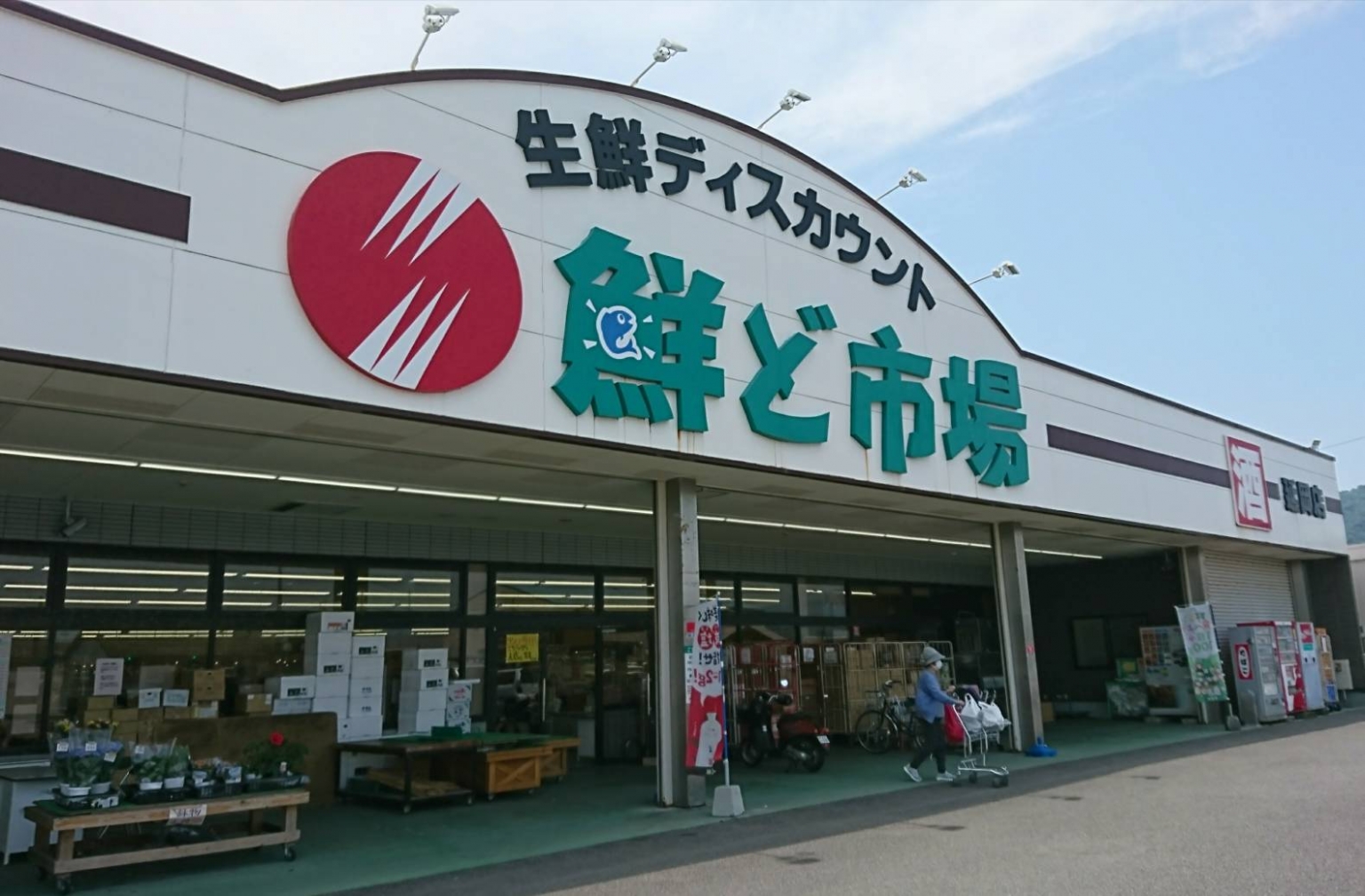 鮮ど市場の「チキン南蛮」は衣サクサクで肉厚ボリューミー！【延岡】 てげなび